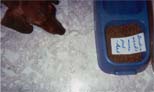 a note in Brodie's bowl